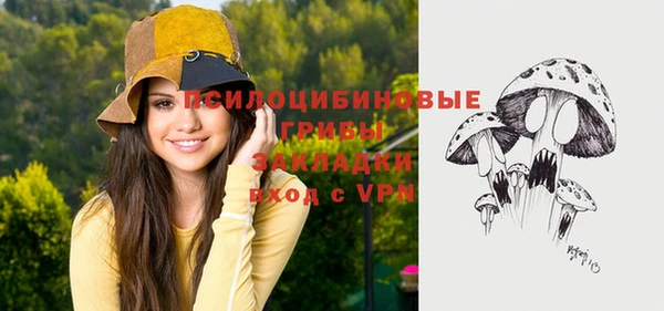 эйфоретик Аркадак