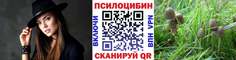 Псилоцибиновые грибы мухоморы  Качканар 